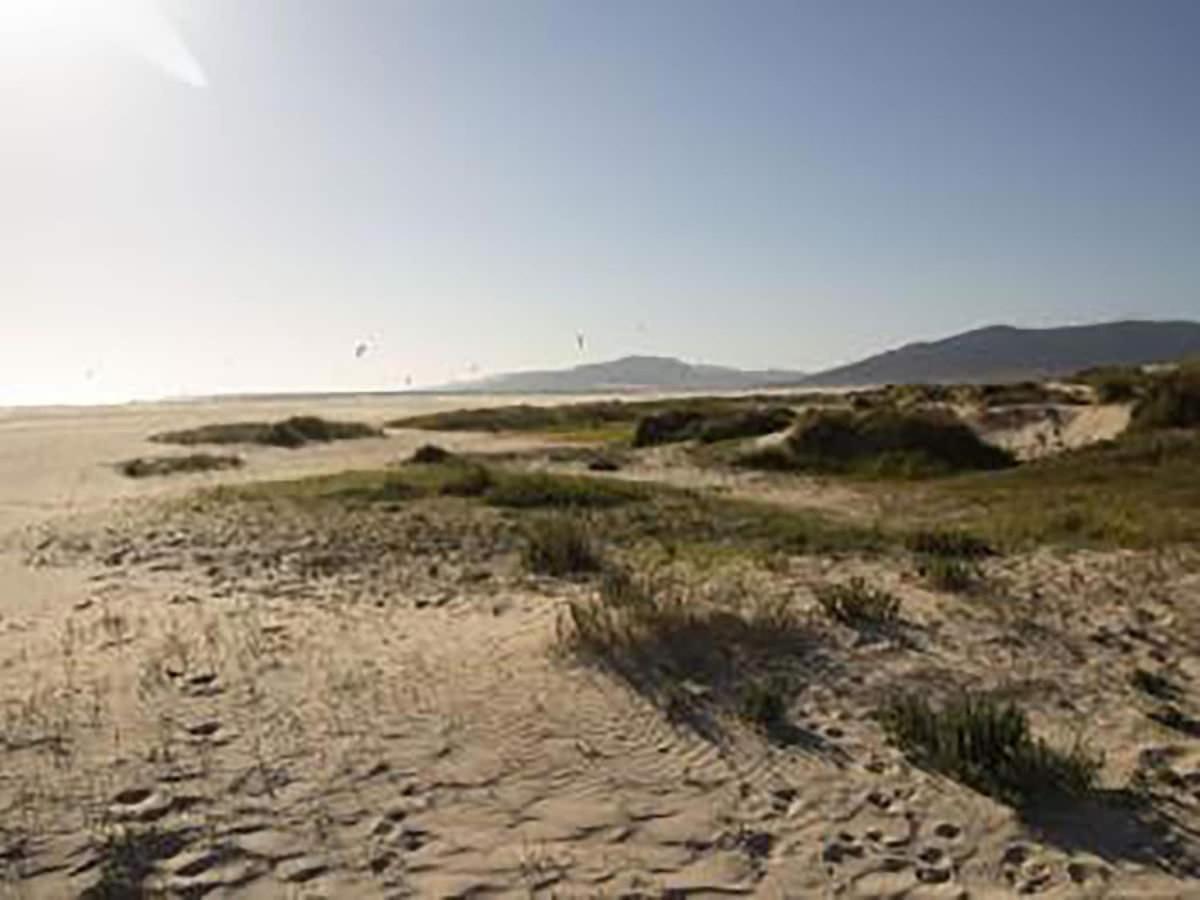 Lightbooking Mirador I Tarifa Eksteriør billede